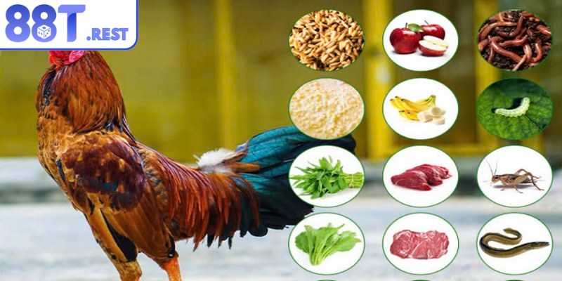 Chế độ ăn uống quyết định đến sự phát triển thể chất