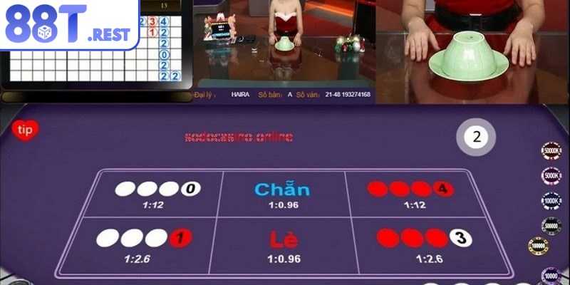 Vạch rõ chiến lược rõ ràng là cách chơi xóc đĩa thắng lớn