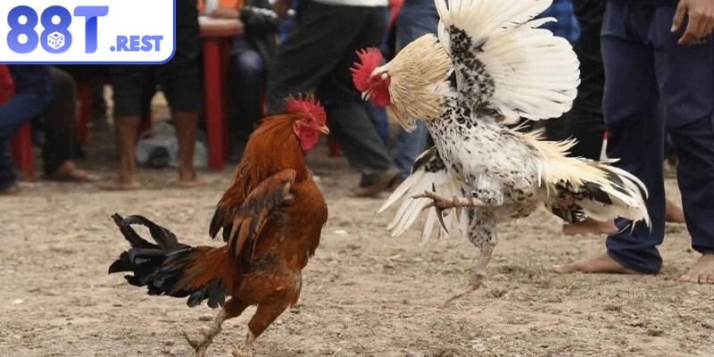 Phân định thắng thua dựa trên các tình huống cụ thể
