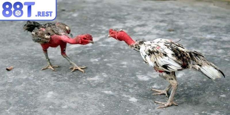 Quy định cơ bản nhằm đảm bảo công bằng, an toàn